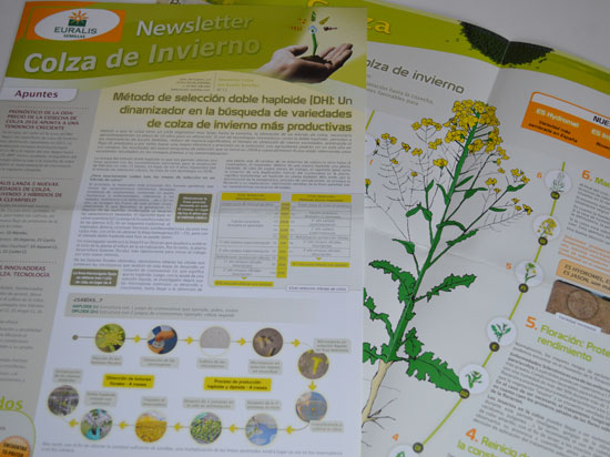 Newsletter